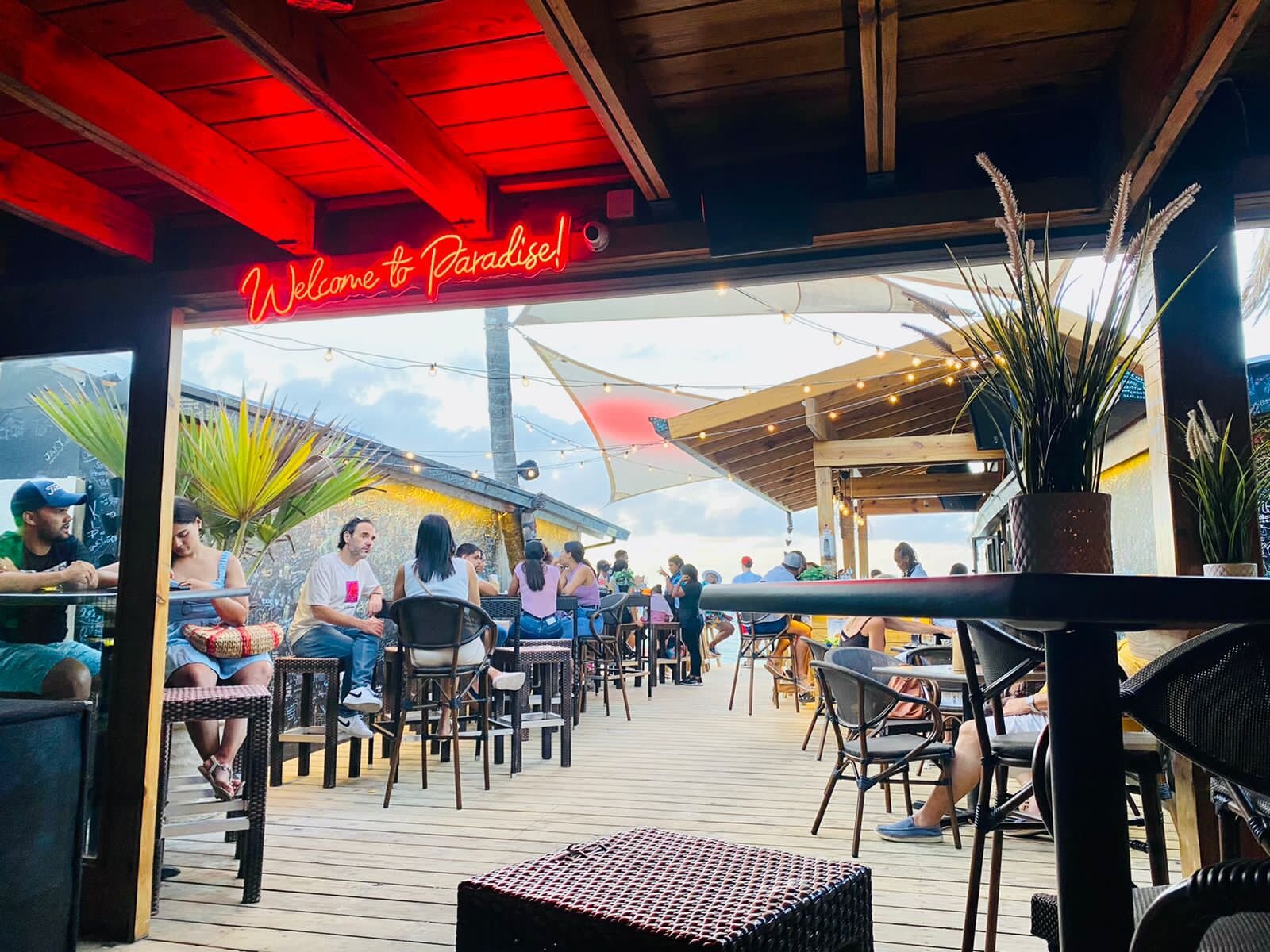 Punta Cana Restaurants: How to Enjoy the Best Dining Experiences with Private Transportation