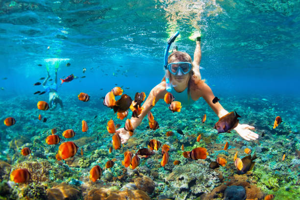 Snorkeling Excellence: Why Private Reef Experiences Are the Ultimate Aquatic Luxury in Punta Cana